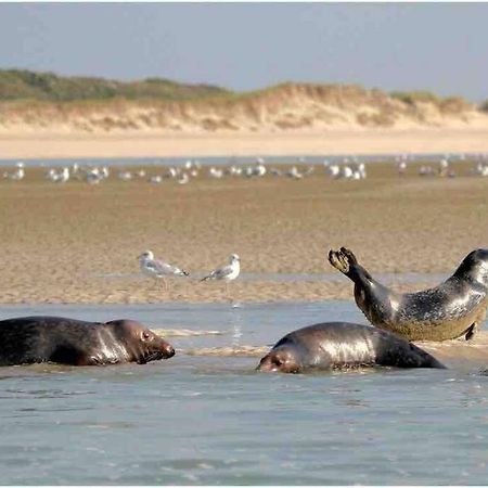 Escapade Berckoise, Berck Plage Екстер'єр фото