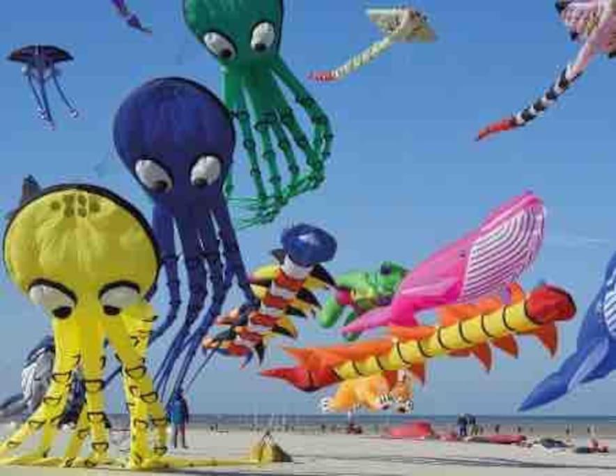 Escapade Berckoise, Berck Plage Екстер'єр фото