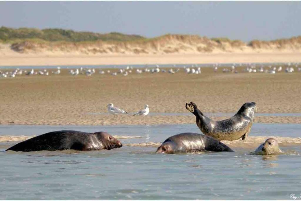 Escapade Berckoise, Berck Plage Екстер'єр фото